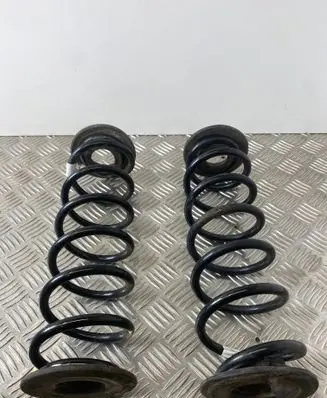 Rear coil spring