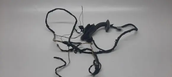 BMW 5 F10 F11 Front door wiring loom 9169241