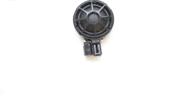 Tesla Model S Front door speaker