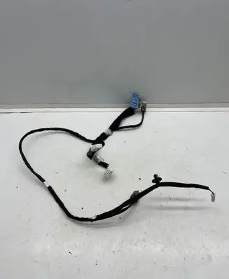 Other wiring loom