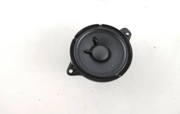 Audi e-tron Headliner speaker 80A035303
