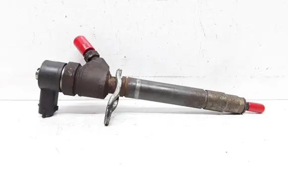 Volvo V70 Fuel injector 0445110298 30777526