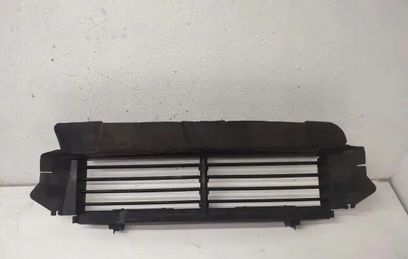 Ford Focus Radiator trim 