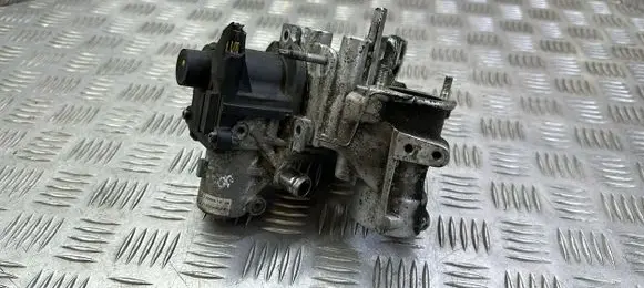 Nissan Juke I F15 EGR valve H8200836385
