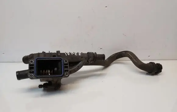Thermostat/thermostat housing