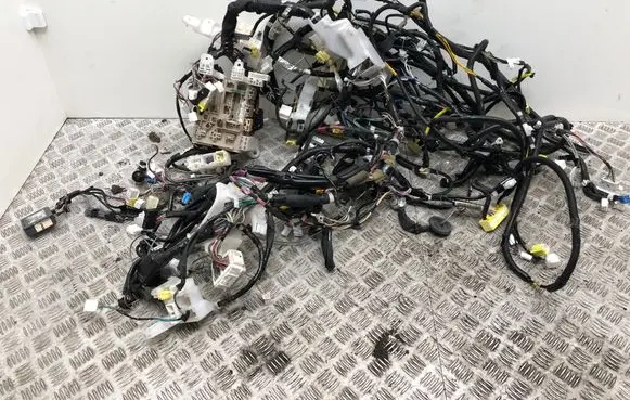 Toyota Avensis T270 Other wiring loom 8216205L80 8267120360 73861573