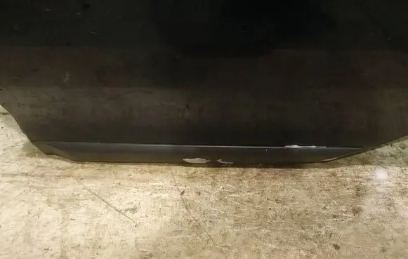 Dacia Logan II Rear door trim (molding) 