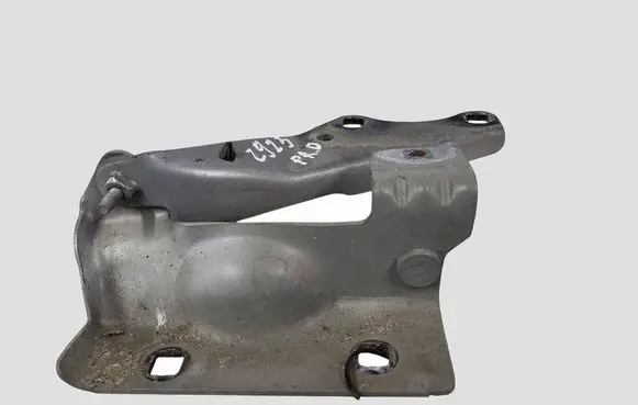 Cadillac CTS Engine bonnet/hood hinges 25701117R