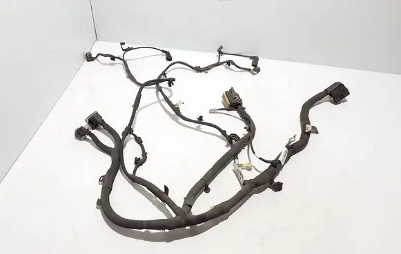 Ford Mach-E I Other wiring loom LJ8T14B599EAC