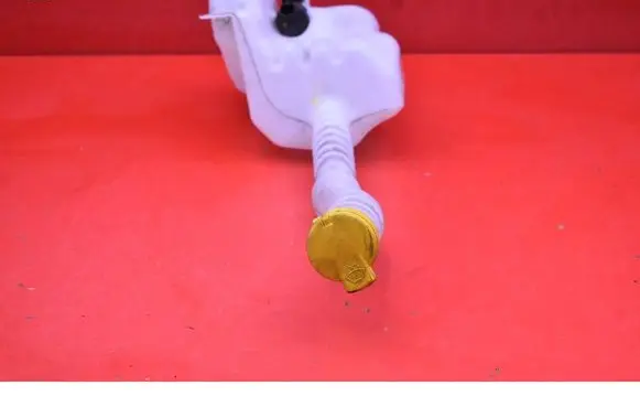 Renault Zoe Windshield washer fluid reservoir/tank 289107030R