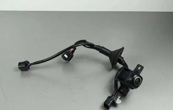 Reversing camera