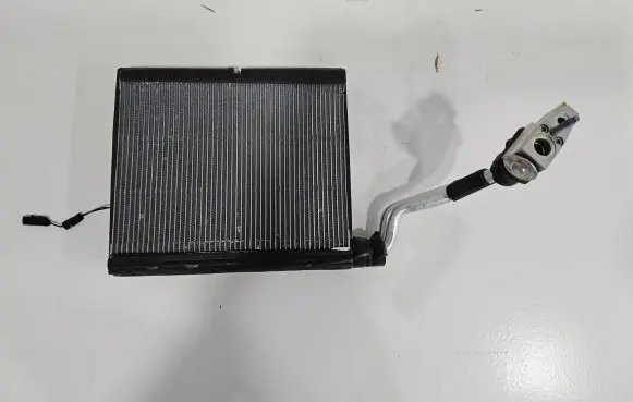 Ford Mustang VI Air conditioning (A/C) radiator (interior) JR3B19849AB JR3B-19849-AB