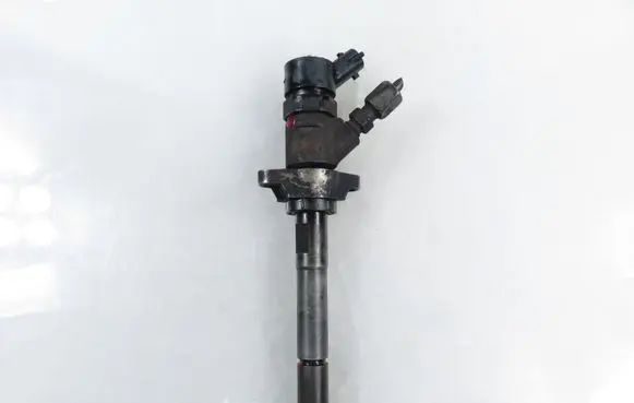 Citroen Berlingo Fuel injector 0445110239