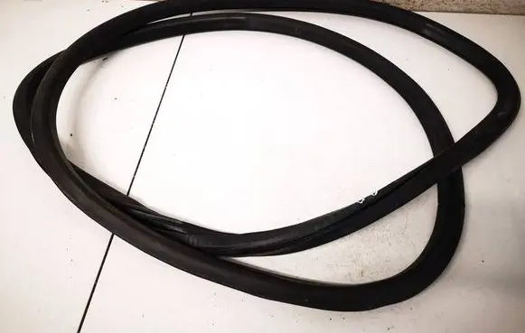 Volkswagen PASSAT B6 Rubber seal rear door