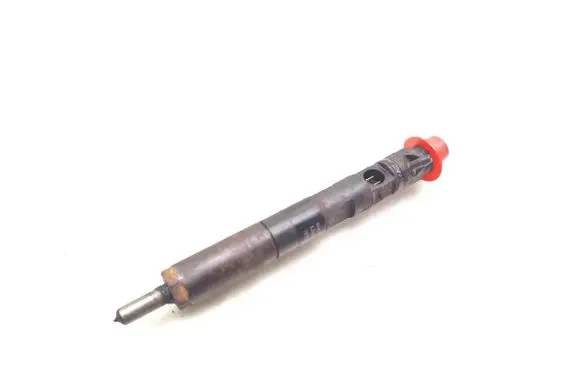 Dacia Sandero Fuel injector EJBR05101D 8200676774