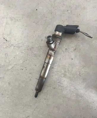 Nissan Qashqai Fuel injector H8200704191
