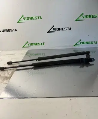 Tailgate/trunk strut/damper