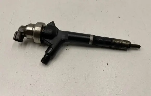 Nissan Pathfinder R51 Fuel injector 8973762703 53044
