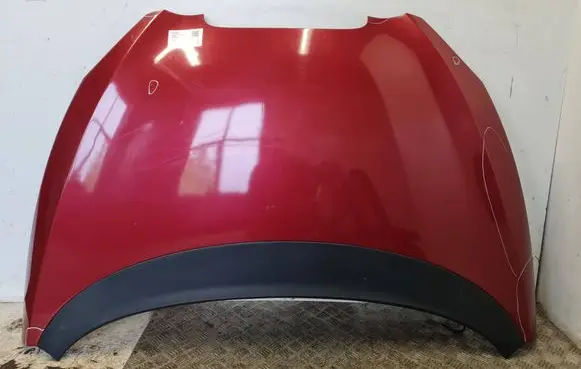 Seat Toledo III (5P) Engine bonnet/hood 