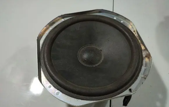 Front door speaker