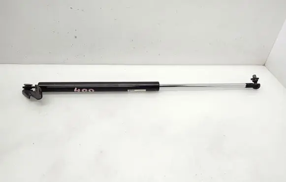 Tailgate/trunk strut/damper