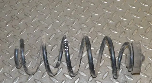 Rear coil spring