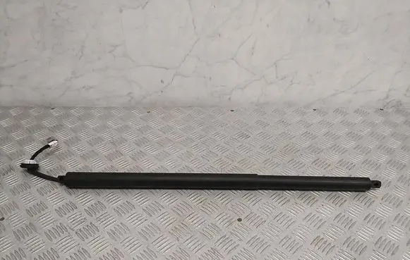 Ford Mach-E I Tailgate strut LJ8BR402A55AB