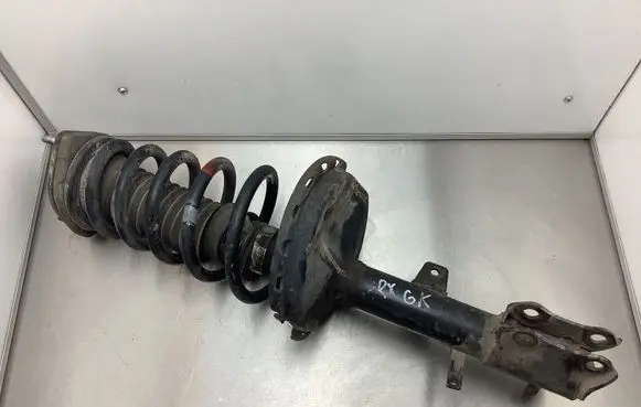 Lexus RX 330 - 350 - 400H Rear shock absorber with coil spring