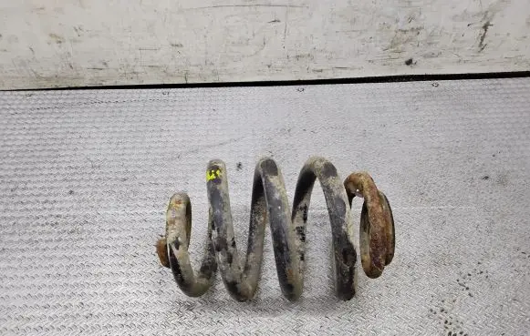 Rear coil spring