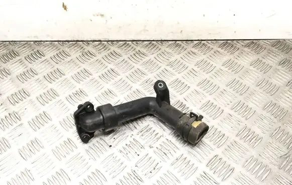 Renault Clio III Engine coolant pipe/hose 7700111985