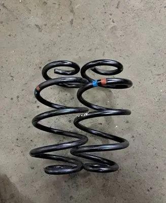 Rear coil spring