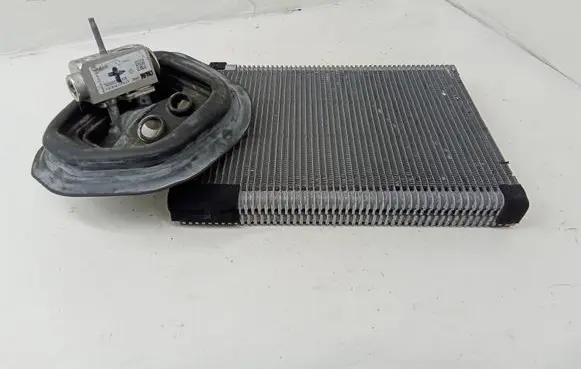 Mercedes-Benz C W205 Air conditioning (A/C) radiator (interior) T920322B416 024021075Z