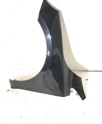 Fender
