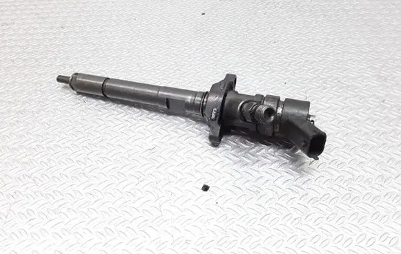 Citroen C5 Fuel injector 0445110259