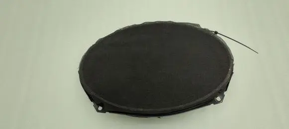 Front door speaker