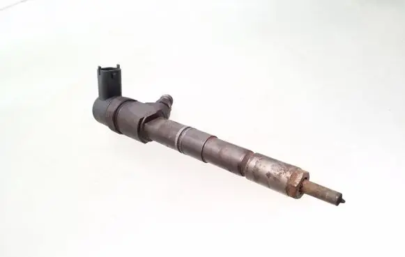 Opel Insignia A Fuel injector 0445110423 55577668
