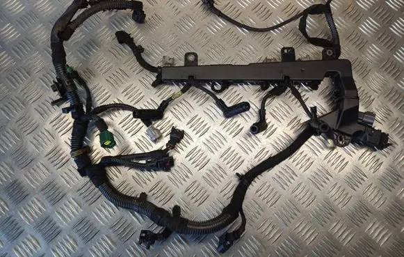 Opel Zafira B Fuel injector wires 728445023W