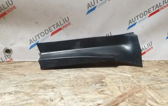 Rear/tail light trim molding