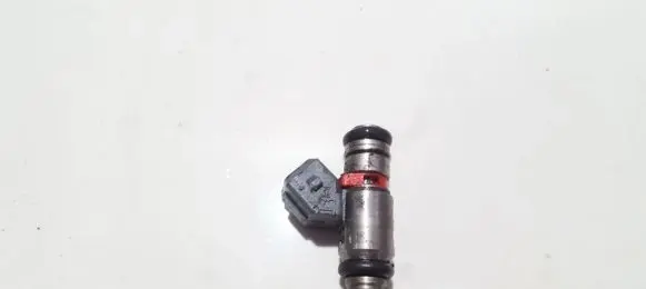Seat Leon (1M) Fuel injector IWP058