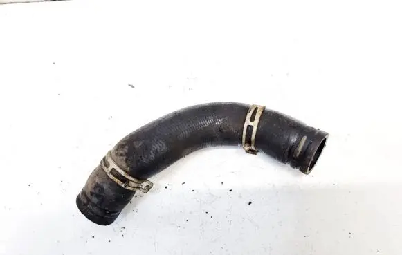 Ford Focus Engine coolant pipe/hose