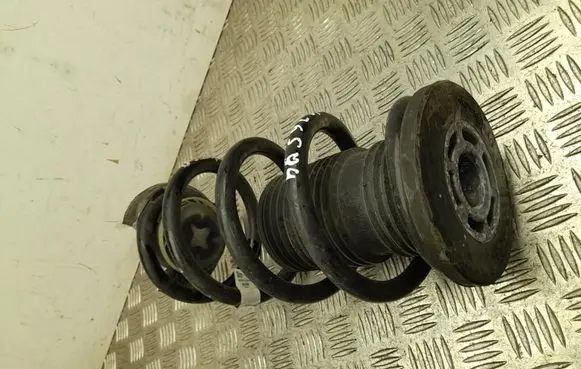 Rear coil spring