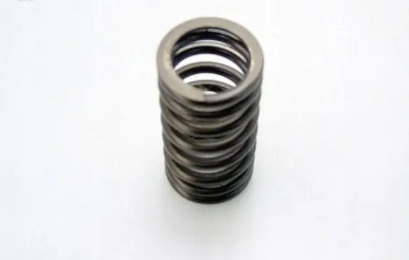 Mitsubishi Lancer VIII Valve spring