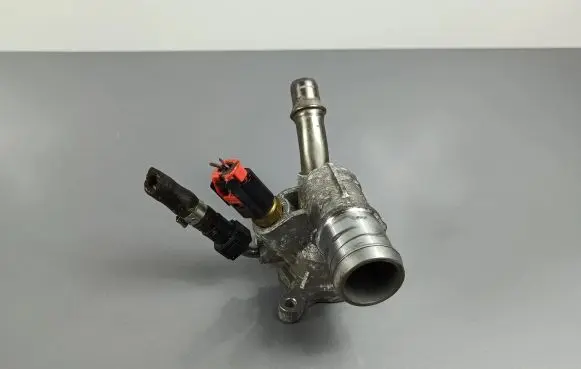 Thermostat/thermostat housing
