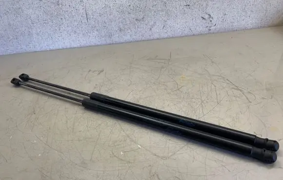 Ford Puma Tailgate/trunk strut/damper L1TBS406A10AB 8045140440N