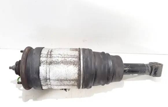 Land Rover Range Rover Sport L320 Rear shock absorber/damper RPD500184