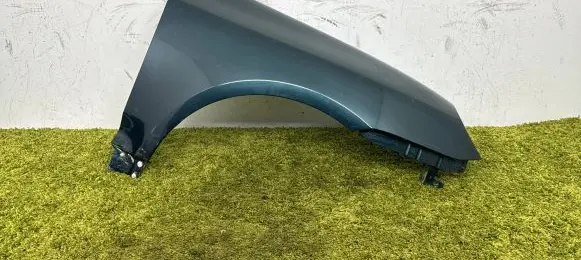 Porsche Cayenne (9PA) Fender