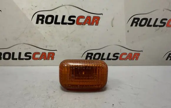 Front fender indicator light