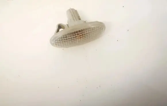 Front fender indicator light
