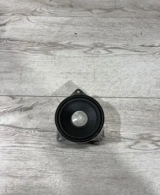 Panel speaker