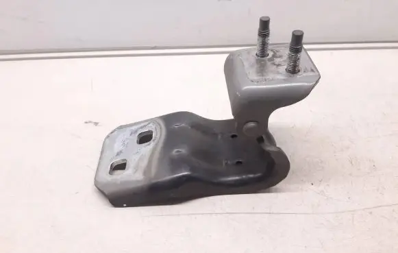 Opel Insignia A Tailgate/trunk/boot hinge 13247936 381212